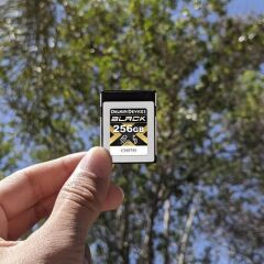 DELKIN BLACK CFEXPRESS TYPE B 4.0 MEMORY CARD 256GB