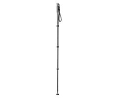 GITZO GM2542 CARBON MONOPOD SER.2 4S