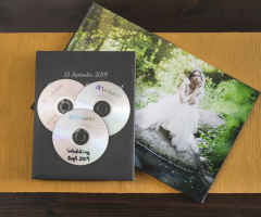 VERBATIM 43791 - DVD-R DATALIFE 16X 4.7 GB 50 PACK